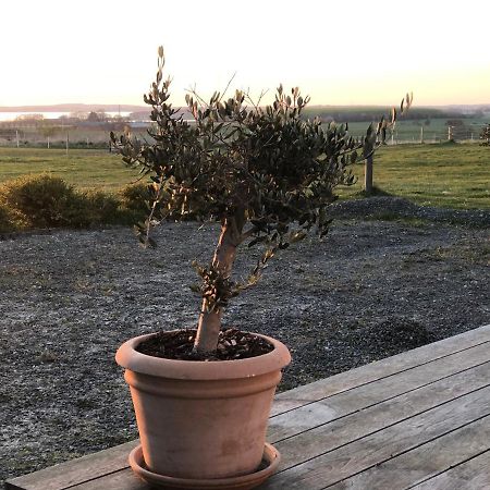 Country-Living With A Lovely View And Own Terrace, Entrance And Parking Roskilde Kültér fotó